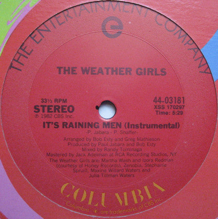 The Weather Girls - It's Raining Men - LP
