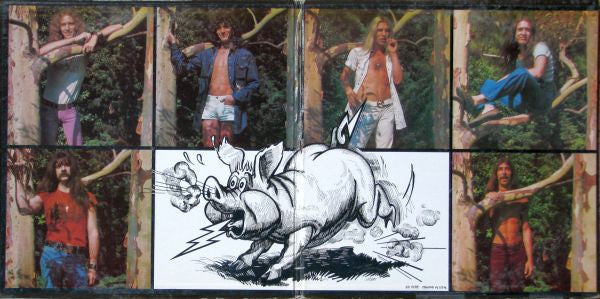 Black Oak Arkansas - High On The Hog - LP
