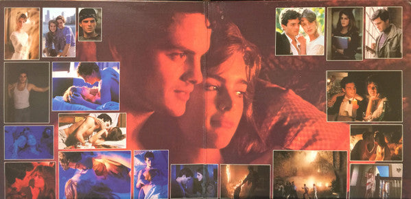 Various - Endless Love - LP
