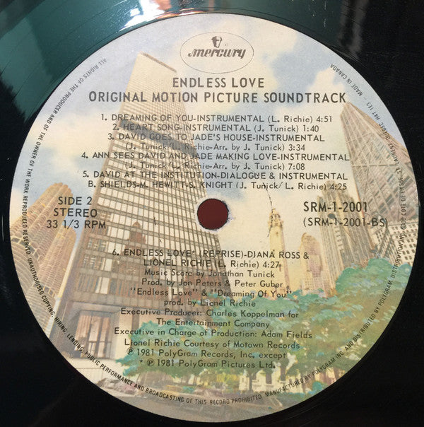 Various - Endless Love - LP