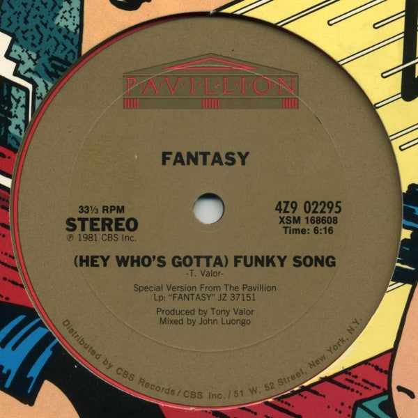Fantasy  - (Hey Who's Gotta) Funky Song - LP