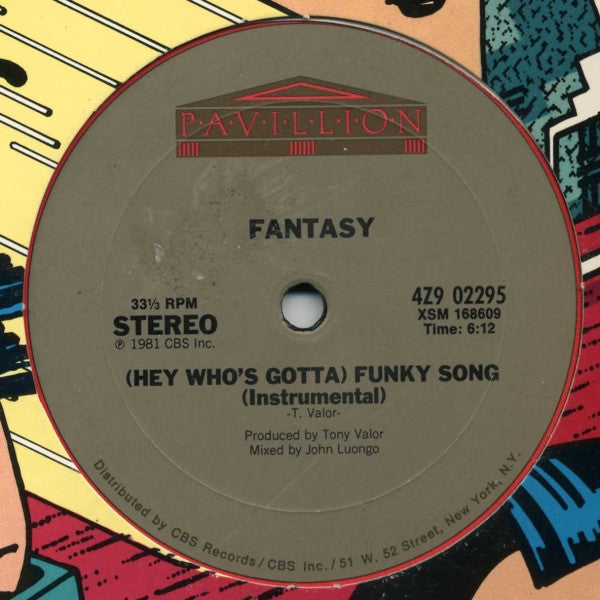 Fantasy  - (Hey Who's Gotta) Funky Song - LP