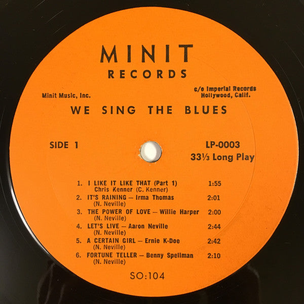 Various - We Sing The Blues - LP
