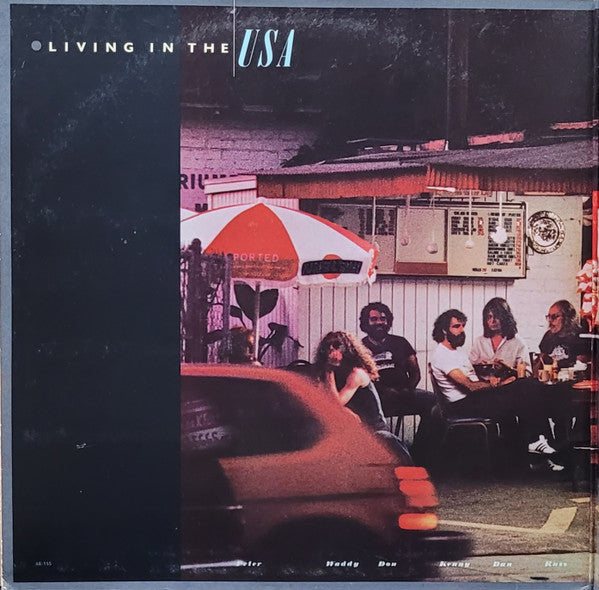 Linda Ronstadt - Living In The USA - LP