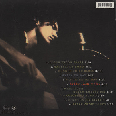 Townes Van Zandt - In The Beginning...