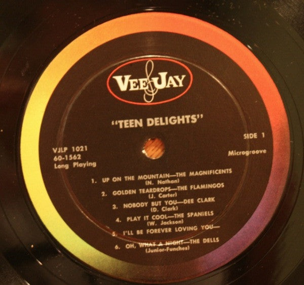 Various - Teen Delights - LP