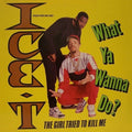 Ice-T - What Ya Wanna Do? - LP