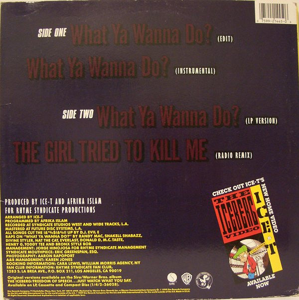 Ice-T - What Ya Wanna Do? - LP