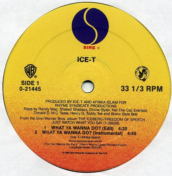 Ice-T - What Ya Wanna Do? - LP