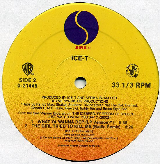 Ice-T - What Ya Wanna Do? - LP