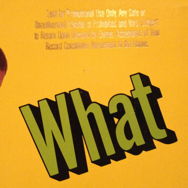 Ice-T - What Ya Wanna Do? - LP
