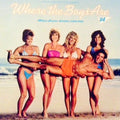 Various - Where The Boys Are '84 (Music From The Motion Picture Soundtrack) - LP