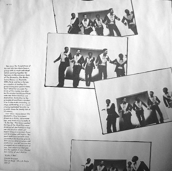 The Dramatics - Shake It Well - LP