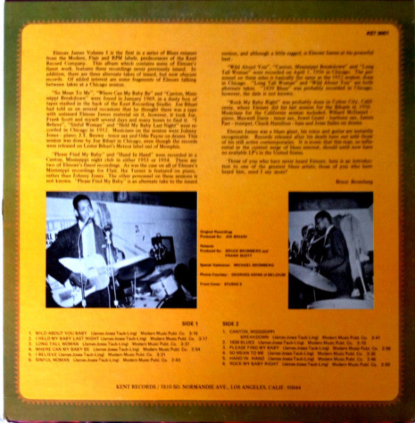Elmore James - The Legend Of Elmore James - LP
