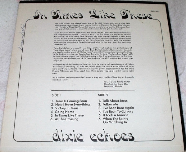 The Dixie Echoes - In Times Like These - LP