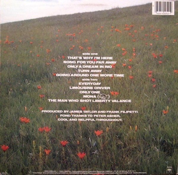 James Taylor (2) - That's Why I'm Here - LP