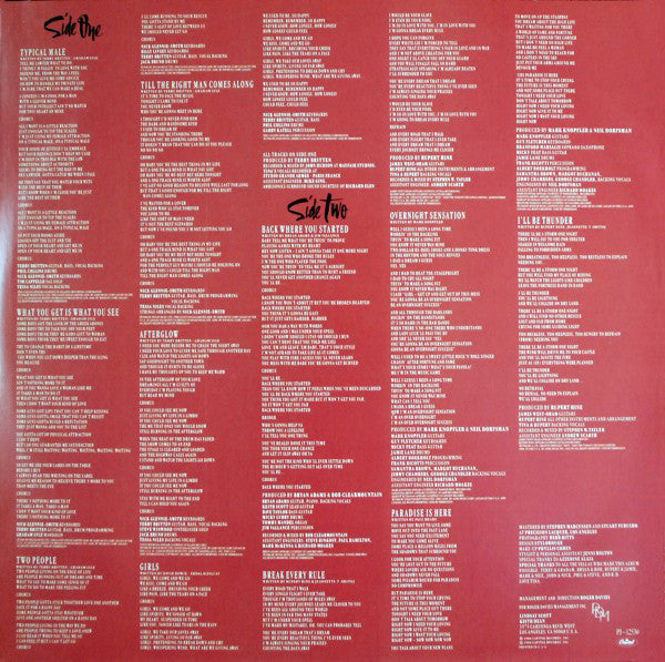 Tina Turner - Break Every Rule - LP