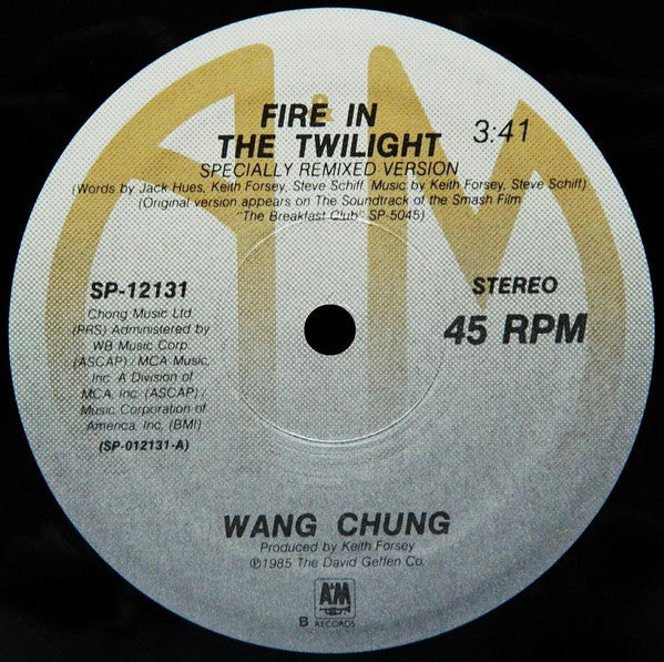 Wang Chung / Jesse Johnson And Stephanie Spruill - Fire In The Twilight / Heart Too Hot To Hold - LP