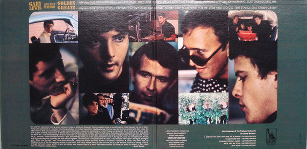 Gary Lewis & The Playboys - Golden Greats - LP