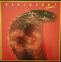 Blackfoot  - Strikes - LP