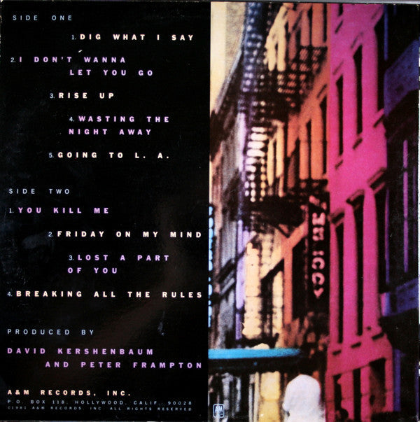 Peter Frampton - Breaking All The Rules - LP