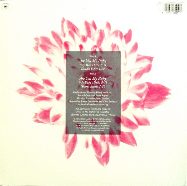 Wendy & Lisa - Are You My Baby (12" Mixes) - LP