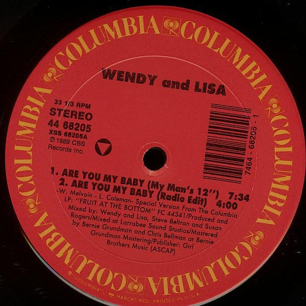 Wendy & Lisa - Are You My Baby (12" Mixes) - LP