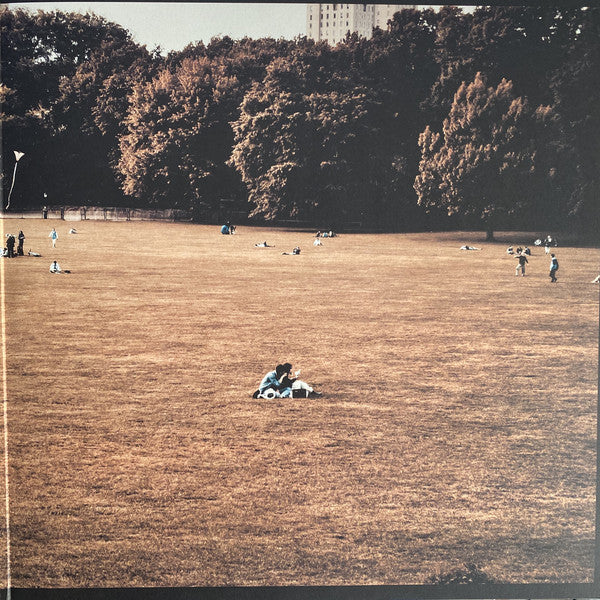 Mercury Rev - The Light In You