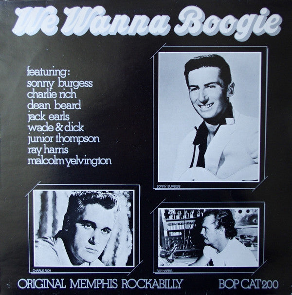 Various - We Wanna Boogie - LP