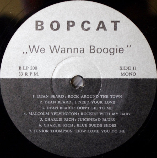 Various - We Wanna Boogie - LP