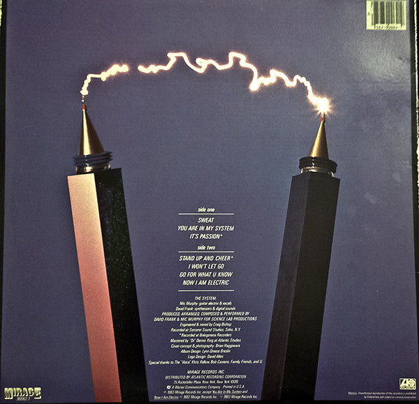 The System - Sweat - LP