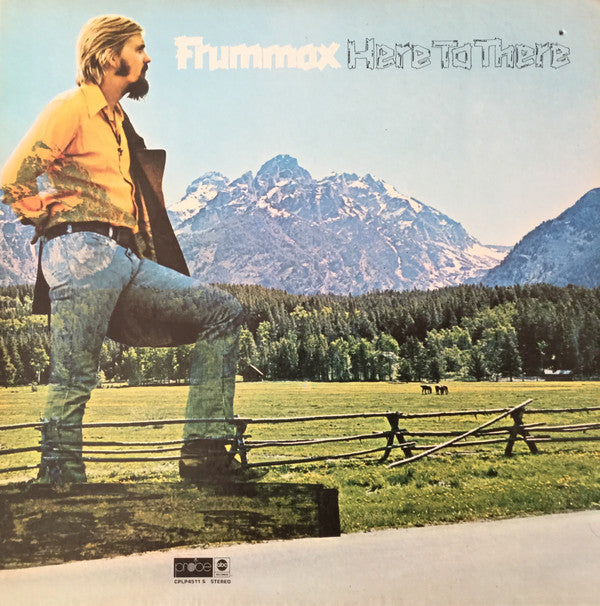 Frummox - Here To There - LP