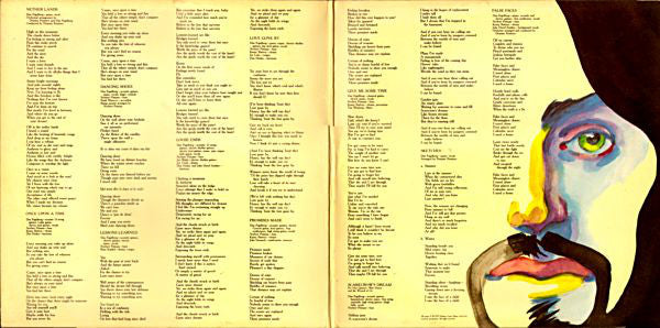 Dan Fogelberg - Nether Lands - LP