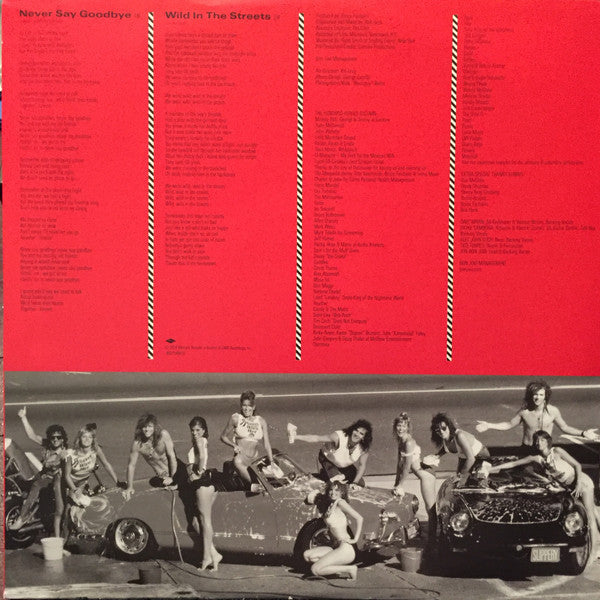 Bon Jovi - Slippery When Wet - LP