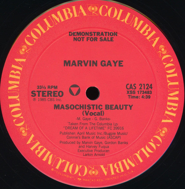 Marvin Gaye - Masochistic Beauty - LP