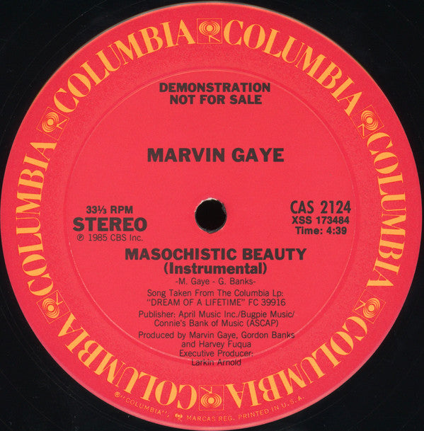 Marvin Gaye - Masochistic Beauty - LP