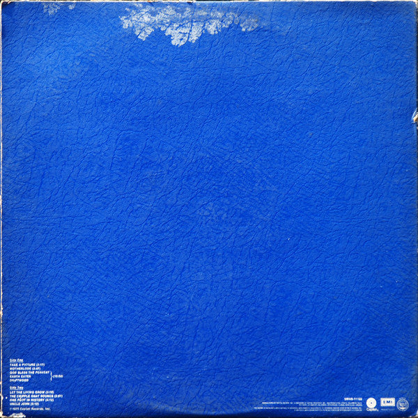 Nitzinger* - One Foot In History - LP