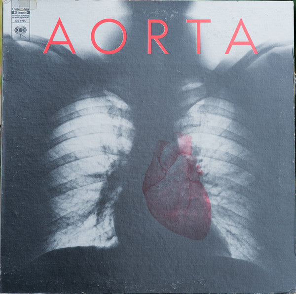 Aorta - Aorta