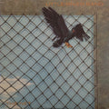 Little River Band - The Net