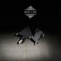 Lost In The Trees - Past Life