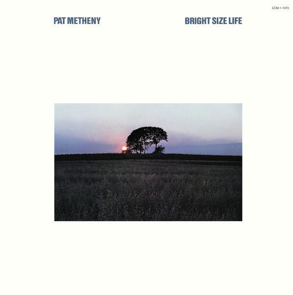 Pat Metheny - Bright Size Life