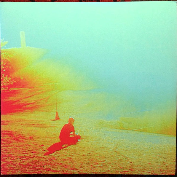 The Flaming Lips - The Terror