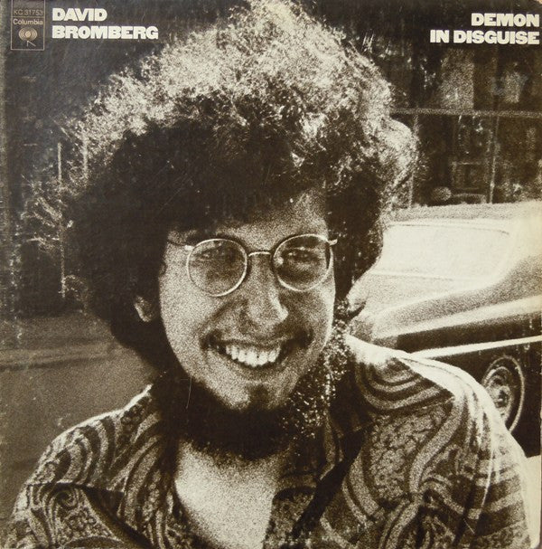David Bromberg - Demon In Disguise
