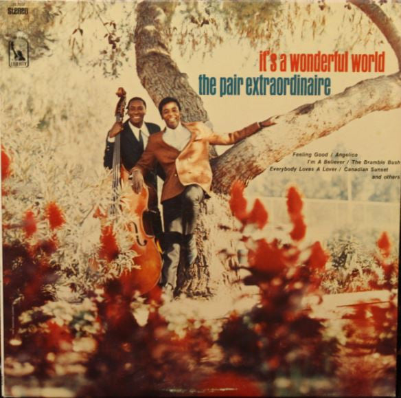 The Pair Extraordinaire - It's A Wonderful World