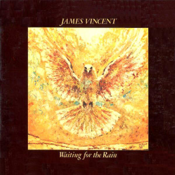 James Vincent - Waiting For The Rain