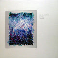 David Flippo - New Age Variations