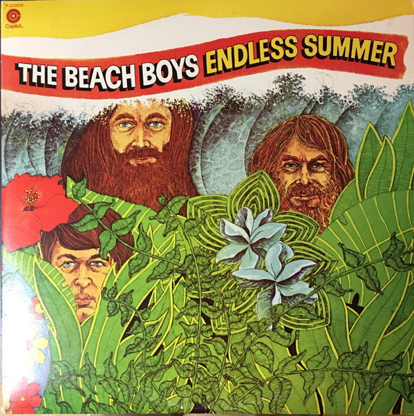 The Beach Boys - Endless Summer