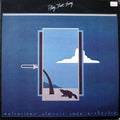 Wolverines Classic Jazz Orchestra - Play That Thing