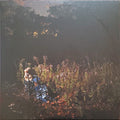 The Weather Station - Ignorance