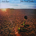 John David Souther - Black Rose